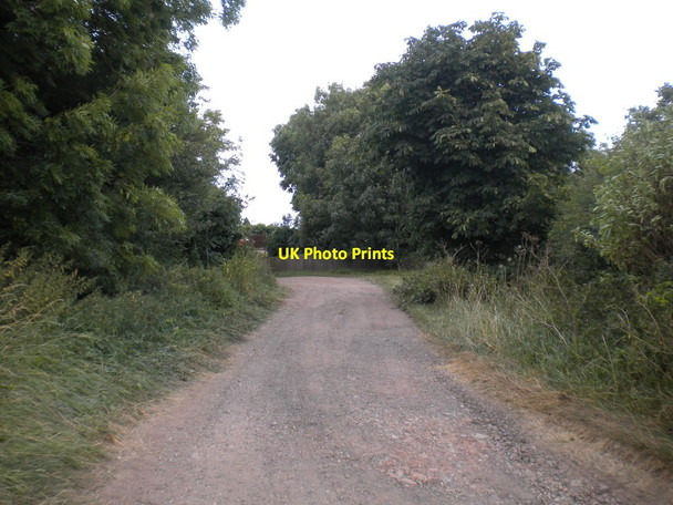 Photo 6"x4" Wolds Lane south of Clipston (3) Clipston\/SK6334 c2016
