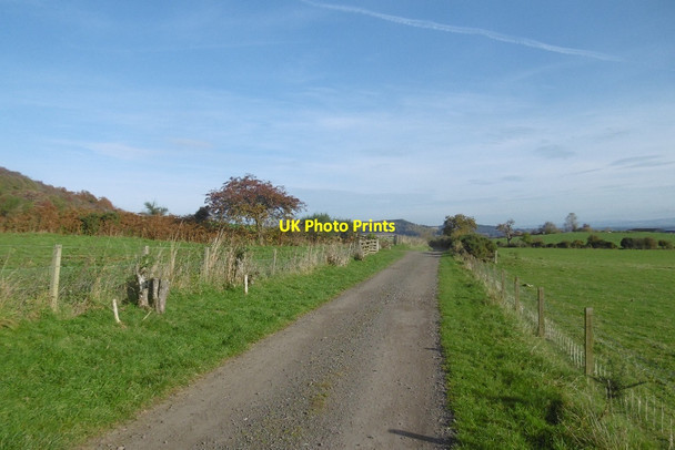 Photo 6"x4" Road behind Caputh Hill Caputh c2016