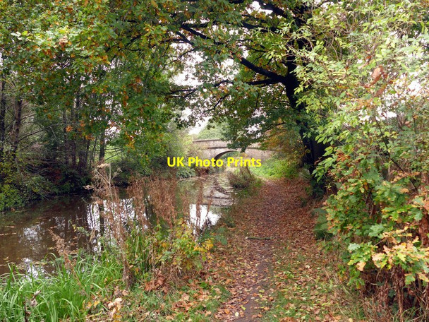 Photo 6"x4" Bridge #63 on the Macclesfield Canal Congleton c2016