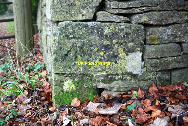 Photo 6"x4" Benchmark on Banbury Road wall Chipping Norton c2014