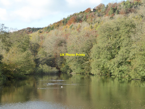Photo 6"x4" Old Pond, Woodchester Park Cockadilly c2016
