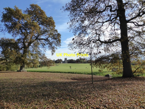 Photo 6"x4" Croome Park in autumn High Green\/SO8745 c2016