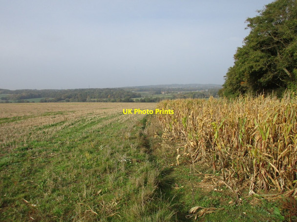 Photo 6"x4" Stubble field near Boarhunt Boarhunt c2016