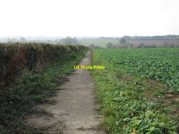 Photo 6"x4" Footpath to Spurlings Farm Fareham c2016