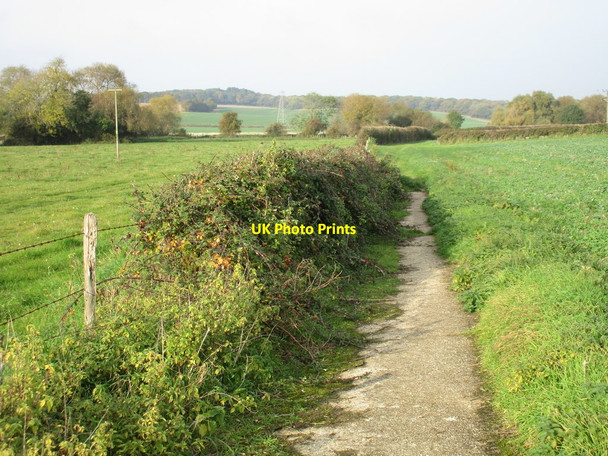 Photo 6"x4" The end of the concrete path Fareham c2016
