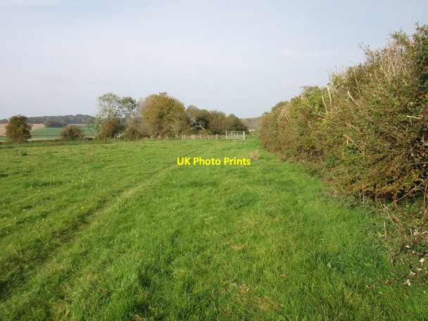 Photo 6"x4" Footpath to North Boarhunt Fareham c2016