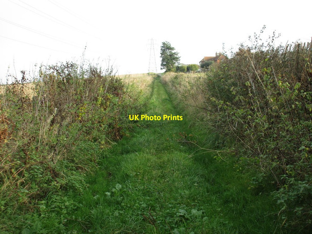 Photo 6"x4" Track to Whitedell Farm Fareham c2016