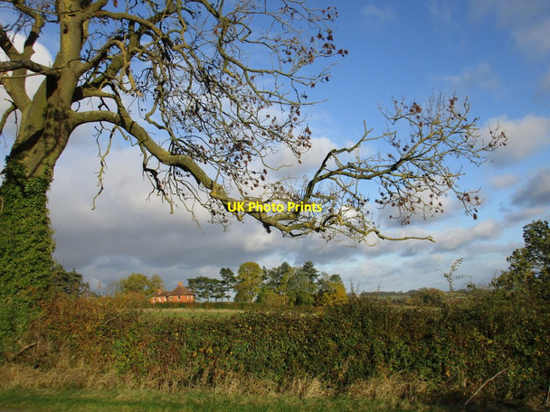 Photo 6"x4" Ash tree and Red House Gelston\/SK9145 c2016