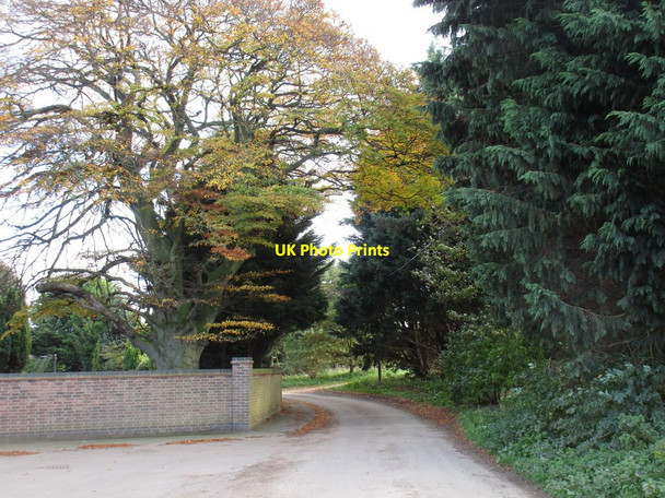 Photo 6"x4" Entering Marston on Stonepit Lane Hougham c2016