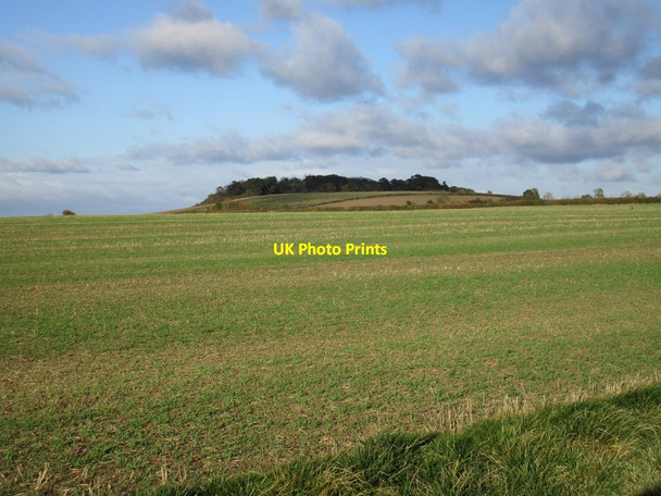 Photo 6"x4" View towards Loveden Hill Gelston\/SK9145 c2016
