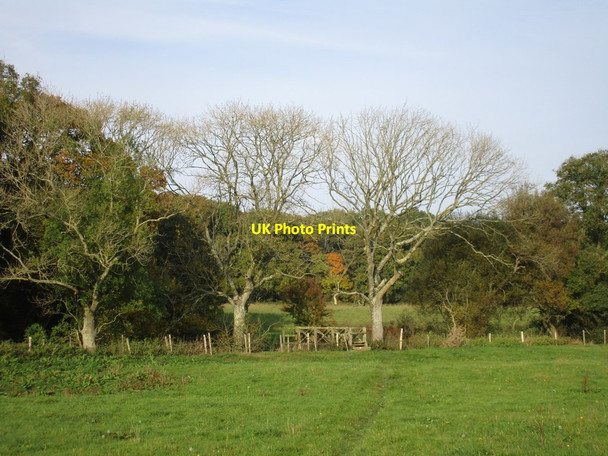 Photo 6"x4" Approaching the Wallington River Boarhunt c2016