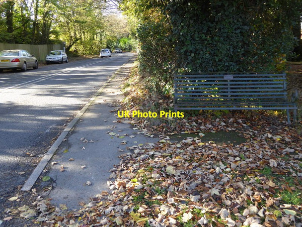 Photo 6"x4" Looking westwards on Bolney Road Ansty\/TQ2923 c2016