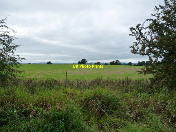 Photo 6"x4" Farmland on the east bank of the Montgomery Canal Ashfield\/SJ3125 c2016