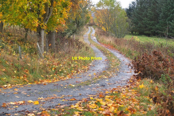 Photo 6"x4" Lane from Kincraigie Tirinie\/NN8867 c2016