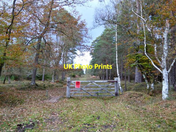 Photo 6"x4" Gate and track, Knightwood Inclosure Bank\/SU2807 c2016