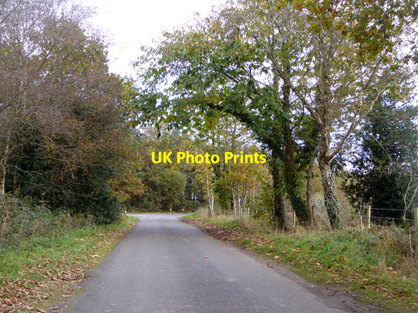 Photo 6"x4" Braggers Lane Thorney Hill\/SZ2099 c2016