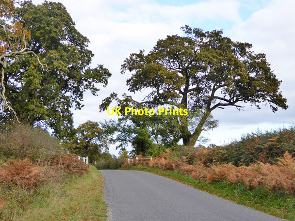 Photo 6"x4" Humped bridge between Ripley and North Ripley North Ripley c2016