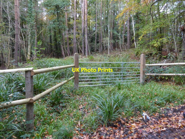 Photo 6"x4" Gated entrance to Wyllies Wood Slough Green\/TQ2826 c2016