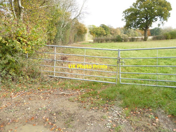 Photo 6"x4" Field on eastern side of Broxmead Lane Slough Green\/TQ2826 c2016