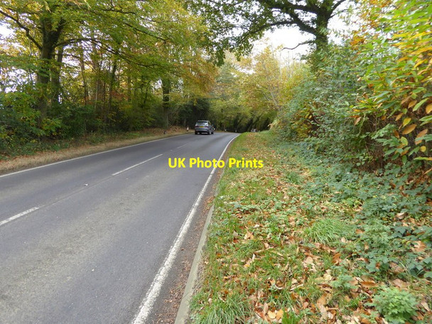 Photo 6"x4" Slough Green Lane looking west Slough Green\/TQ2826 c2016