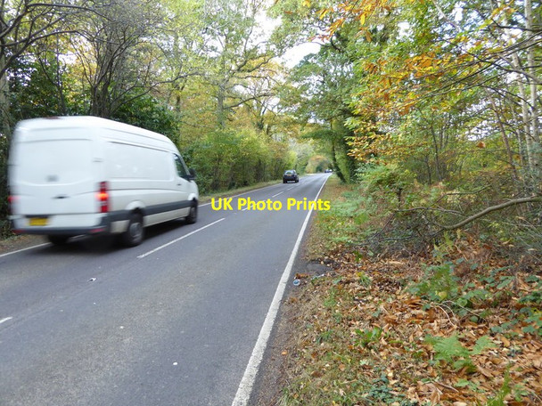 Photo 6"x4" The B2115 in Holmsted Wood Slough Green\/TQ2826 c2016