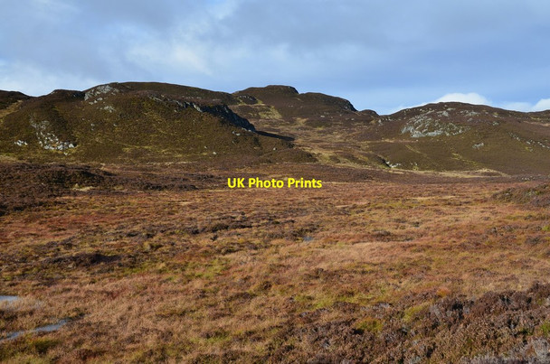 Photo 6"x4" Heather and bog Faskally c2016