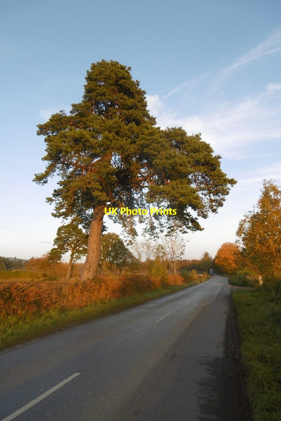 Photo 6"x4" B947 west of Blairgowrie Blairgowrie c2016