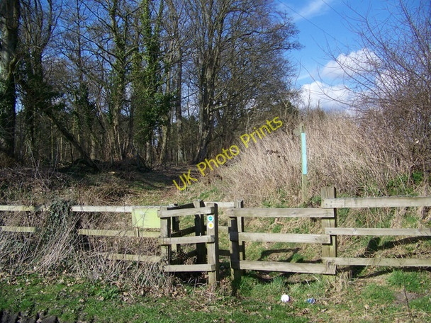 Photo 6"x4" Avon Valley Path, Avon North Ripley c2009