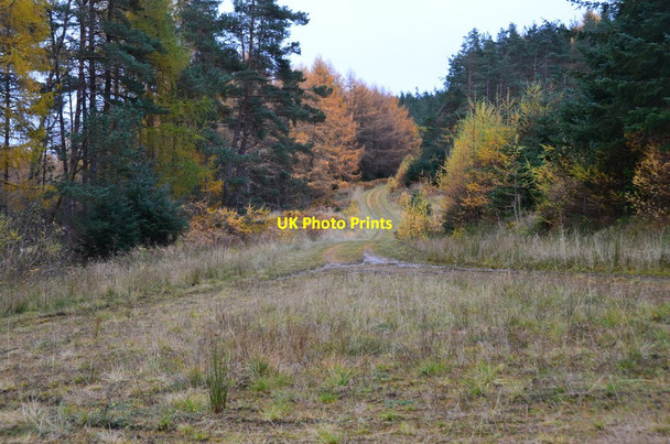 Photo 6"x4" Turning circle below An Suidhe Pitlochry c2016