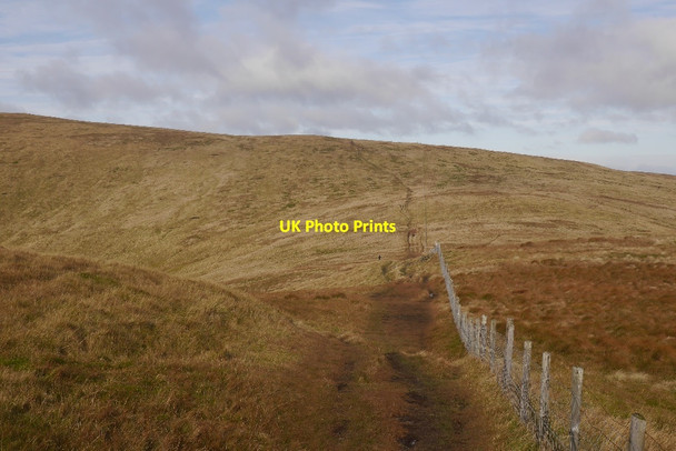 Photo 6"x4" Path between The Law and Ben Cleuch Tillicoultry c2016