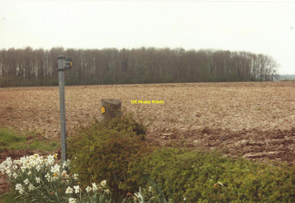 Photo 6"x4" The Leicestershire Round Barton in the Beans c1994