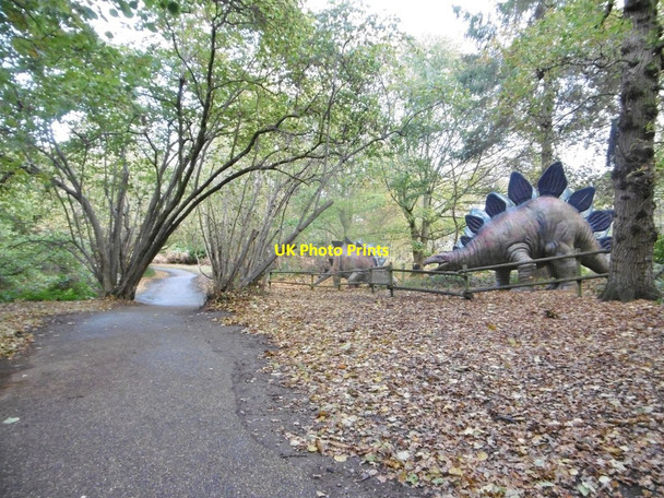 Photo 6"x4" Weston Longville, dinosaur trail b Lenwade c2016