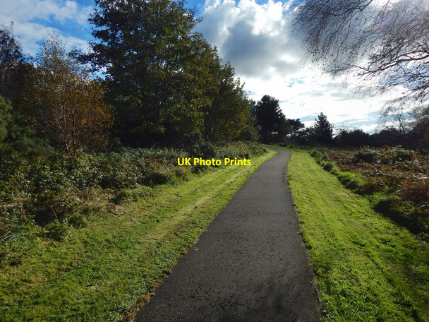 Photo 6"x4" Path to Tower Hill Gourock c2016
