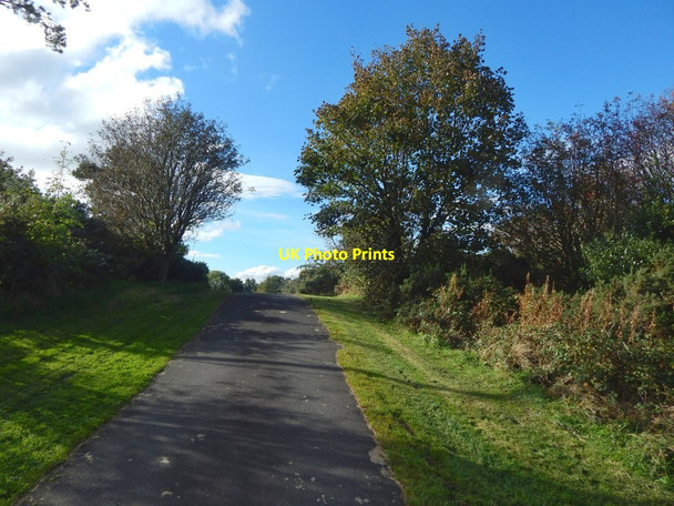 Photo 6"x4" Path from Tower Hill Gourock c2016