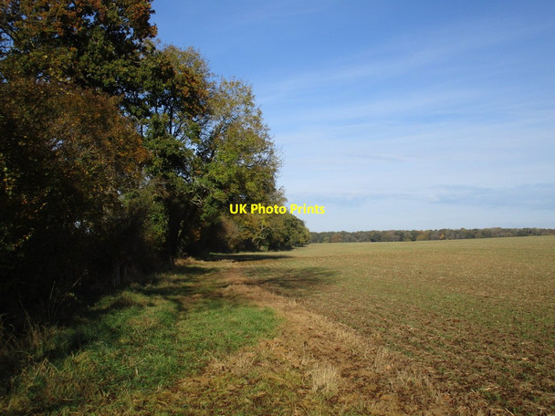 Photo 6"x4" Bridleway to Falcutt Radstone c2016