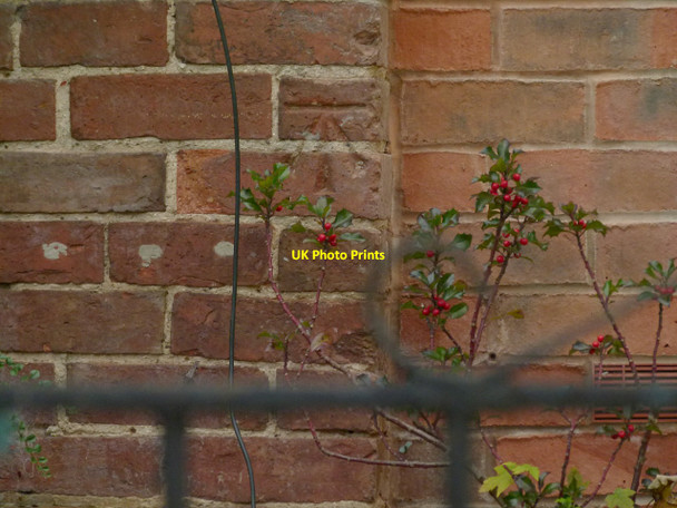 Photo 6"x4" Bench mark, 25 King Street, Scalford Scalford c2016