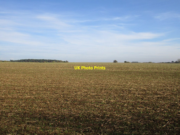 Photo 6"x4" One enormous field Radstone c2016