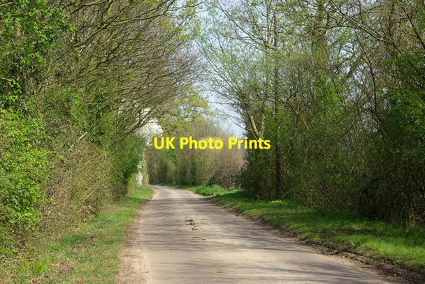 Photo 6"x4" Lane from High Roding to Barnston Bishops Green c2007