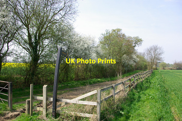 Photo 6"x4" Bridleway to Roffey Bishops Green c2007