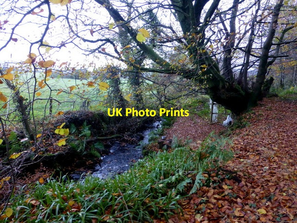 Photo 6"x4" Stream, Beragh \/ Lisnacreaght Mountjoy\/H4277 c2016