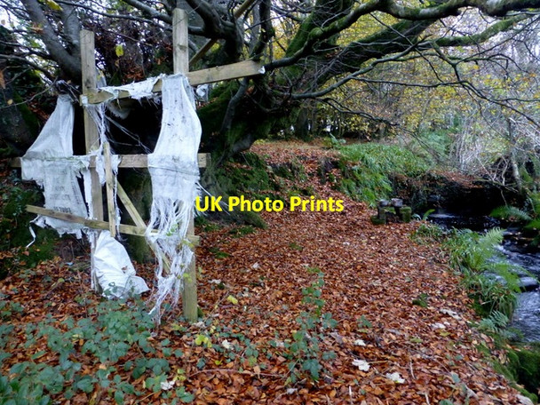 Photo 6"x4" Remains of a playhouse, Lisnacreaght Mountjoy\/H4277 c2016