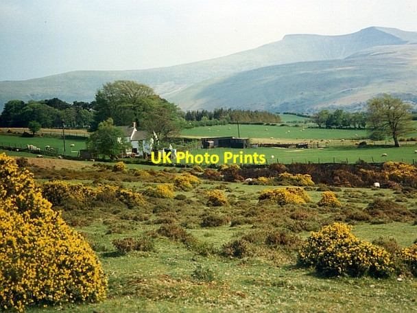 Photo 6"x4" A view from Mynydd Illtud Common Trallong c1995