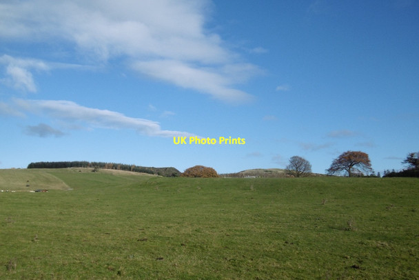 Photo 6"x4" Pasture, Capellie Gateside\/NS4858 c2016