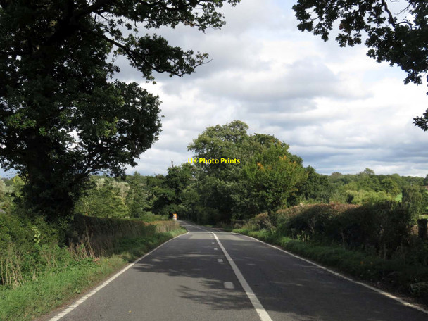 Photo 6"x4" Mole Road to Sindlesham Arborfield Cross c2015