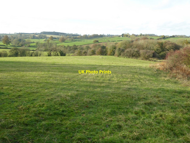 Photo 6"x4" Stockings Meadow, near Bromyard Flaggoners Green c2016