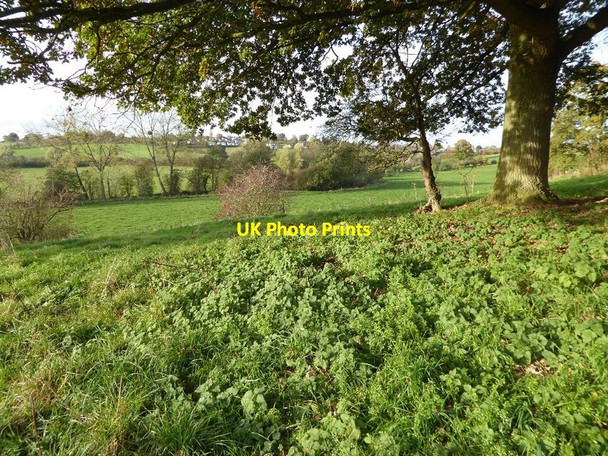 Photo 6"x4" The Frome valley Bromyard c2016