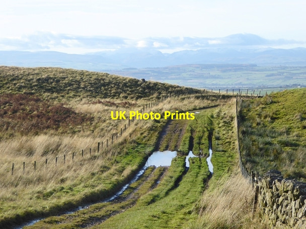 Photo 6"x4" Lane at Moor Thwaite Unthank\/NY6040 c2016