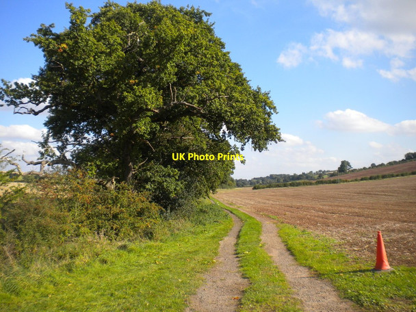 Photo 6"x4" Farm track south west of Woodborough Park Farm (2) Arnold\/SK5945 c2016