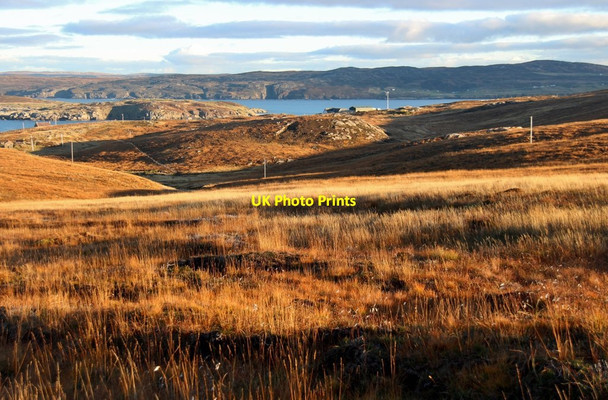 Photo 6"x4" Moor at Achnahuaigh Achininver c2016