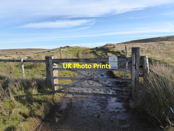 Photo 6"x4" Gate across the track on Twotop Hill Busk\/NY6042 c2016